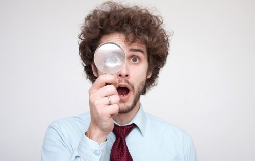 刺す刺さない?素人でも出来る蜂の種類の見分け方