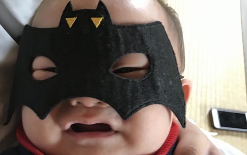 【もしも保護したらどうする!?】コウモリの赤ちゃんの育て方と対処法