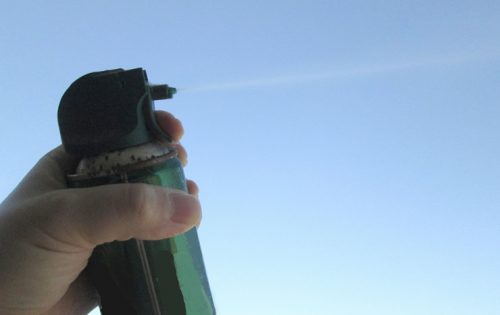たった20分でできる!『蜂』と『巣』をスプレーで駆除する方法