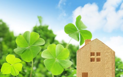 もう蜂の巣は作らせない!環境に優しい蜂の巣作り防御法