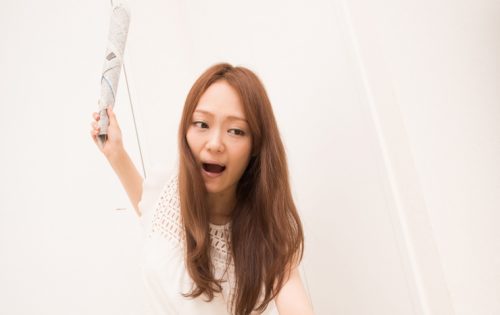 個人駆除の限界…プロのゴキブリ駆除業者に頼んだ場合の驚きの効果