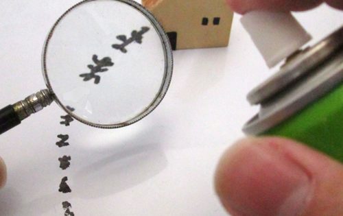 シロアリの駆除って自分でできる?それとも業者にお願いするべき?