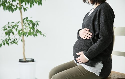 妊婦さん必読!ハクビシン被害をいち早く解決する方法