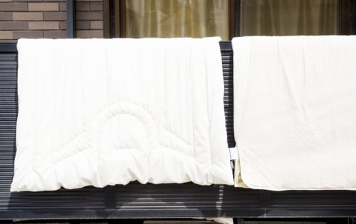 布団のダニを完全駆除!今すぐ試して欲しい2つの解決策