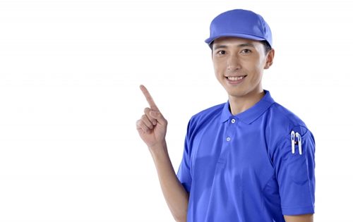 良質なねずみ駆除業者を間違いなく選ぶ方法徹底紹介
