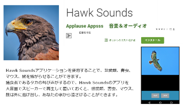 Hawk Sounds
